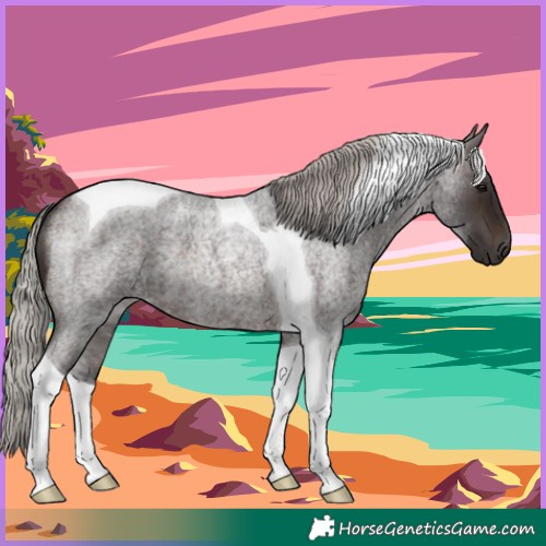 Horse Color:Silver Brown Roan Tobiano 