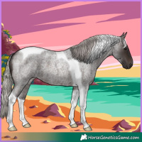 Horse Color:Silver Brown Roan Tobiano