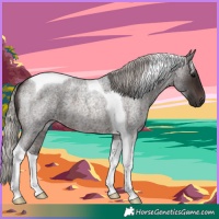 Horse Color:Silver Brown Roan Tobiano