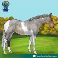 Horse Color:Silver Buckskin Roan Tobiano