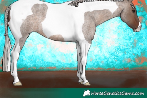 Horse Color:Silver Brown Roan Dun Tobiano 