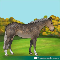 Horse Color:Silver Smoky Black 