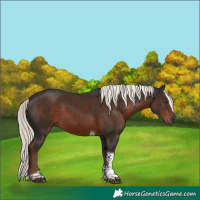 Horse Color:White Spotted Liver Chestnut Mushroom Tobiano