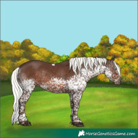 Horse Color:Liver Chestnut Mushroom Splash Tobiano 