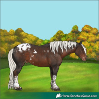 Horse Color:White Spotted Liver Chestnut Mushroom Tobiano Appaloosa Rabicano