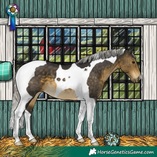 Horse Color:Silver Buckskin Tobiano 