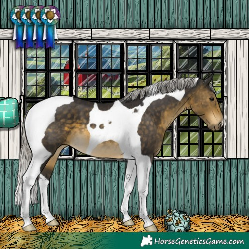 Horse Color:Silver Buckskin Tobiano 