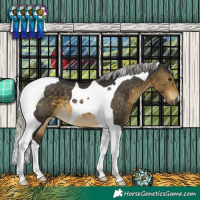 Horse Color:Silver Buckskin Tobiano