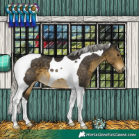 Horse Color:Silver Buckskin Tobiano 