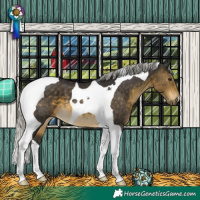 Horse Color:Silver Buckskin Tobiano