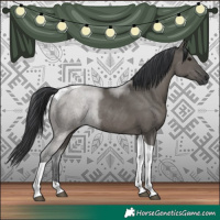 Horse Color:Grullo Tobiano Rabicano