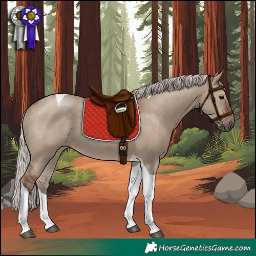 Horse Color:Silver Grullo Tobiano Rabicano 