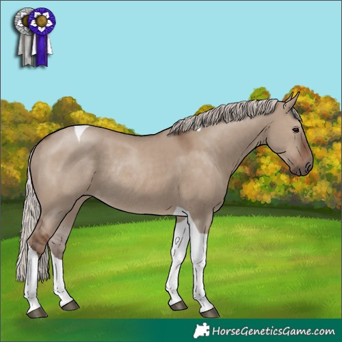 Horse Color:Silver Grullo Tobiano Rabicano