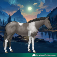 Horse Color:Grullo Tobiano Rabicano