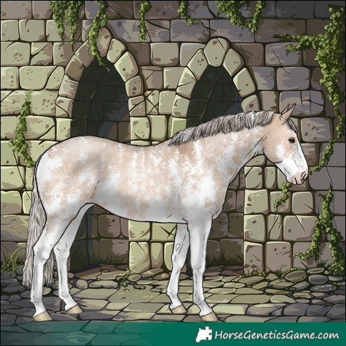 Horse Color:Silver Brown Dun Sabino Rabicano