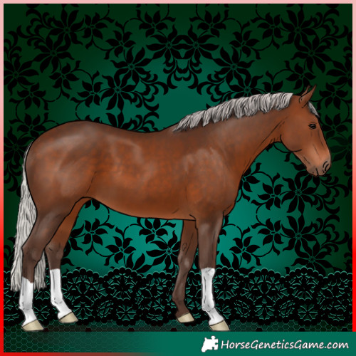 Horse Color:Silver Brown 