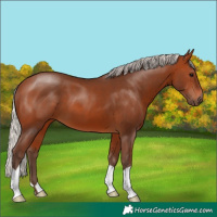 Horse Color:Silver Brown