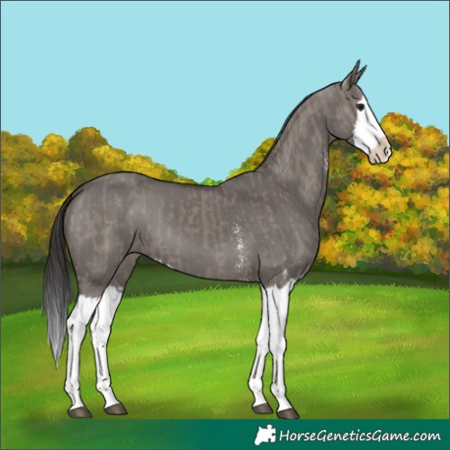 Horse Color:Smoky Grullo Sabino Splash  and Smoky Grullo Sabino Splash 