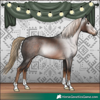 Horse Color:Gray Liver Chestnut