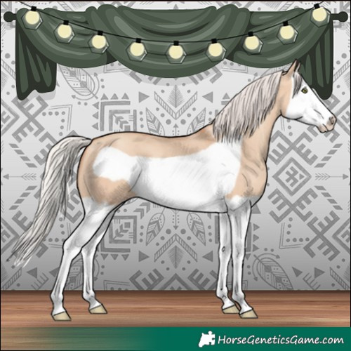 Horse Color:Silver Amber Champagne Dun Splash Frame 