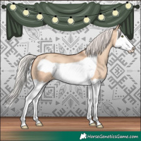Horse Color:Silver Amber Champagne Dun Splash Frame