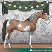 Horse Color:Amber Champagne Tobiano Rabicano