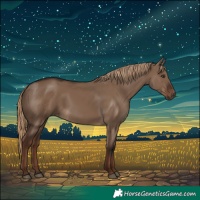 Horse Color:Liver Red Dun