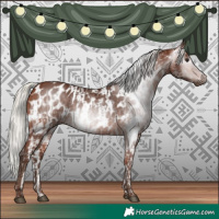 Horse Color:Gray White Spotted Silver Bay and Silver Bay Near Leopard