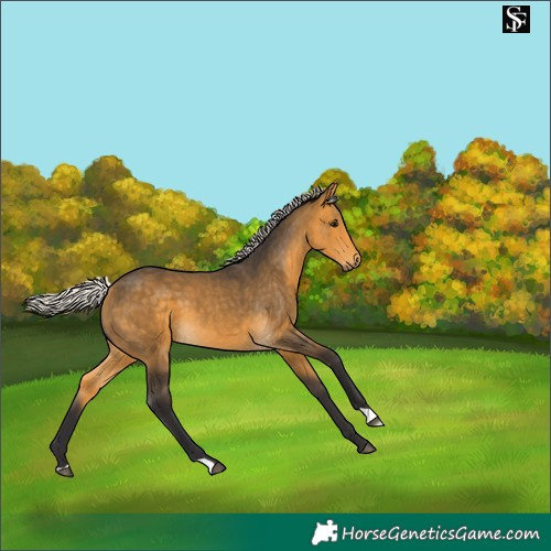 Horse Color:Silver Buckskin 