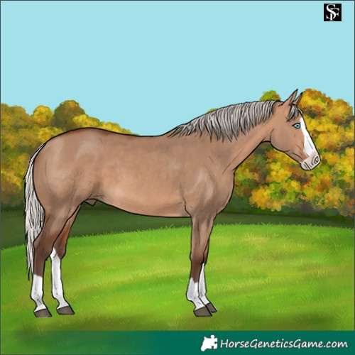 Horse Color:Silver Brown Dun Splash 