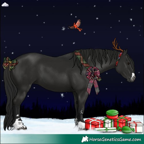 Horse Color:Gray Black 