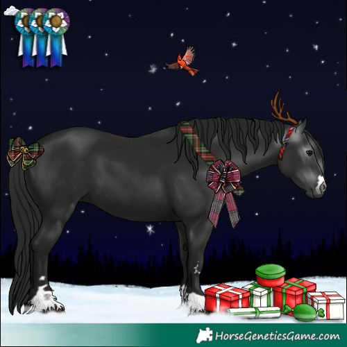 Horse Color:Gray Black 