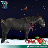 Horse Color:Gray Black 