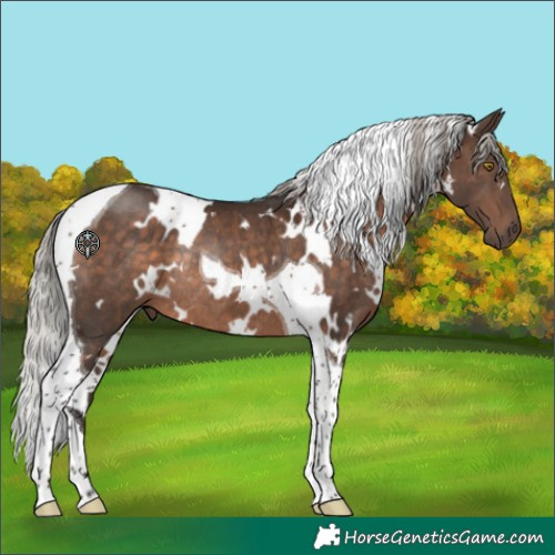 Horse Color:White Spotted Silver Brown Tobiano Rabicano