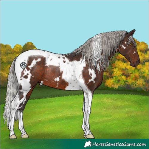 Horse Color:White Spotted Silver Brown Tobiano Rabicano 