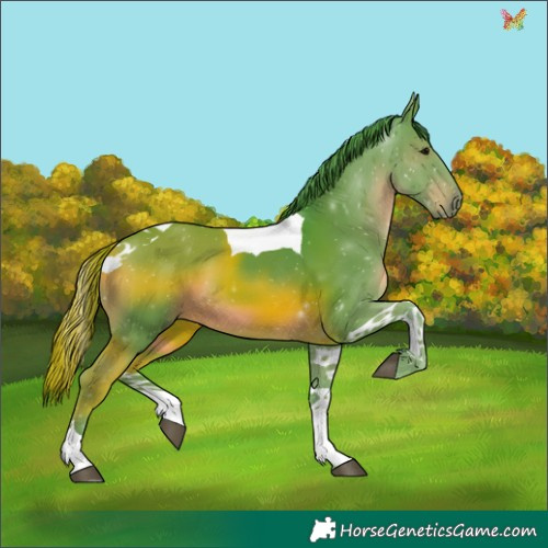 Horse Color:Watercolor Black Tobiano 