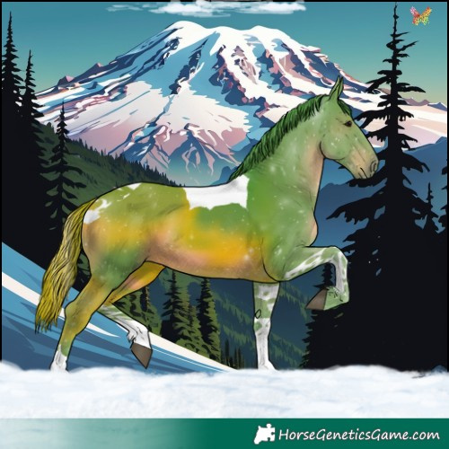 Horse Color:Watercolor Black Tobiano 
