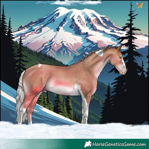 Horse Color:Silver Sable Champagne Tobiano Rabicano