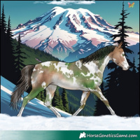 Horse Color:White Spotted Amber Champagne Rabicano