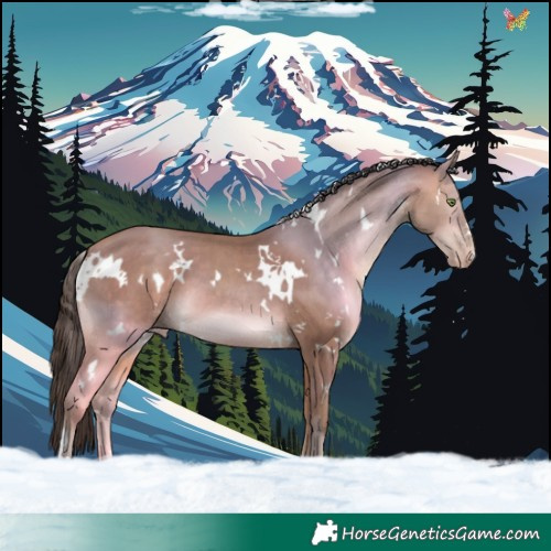 Horse Color:White Spotted Amber Champagne 