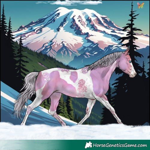 Horse Color:Watercolor Silver Amber Champagne Tobiano 