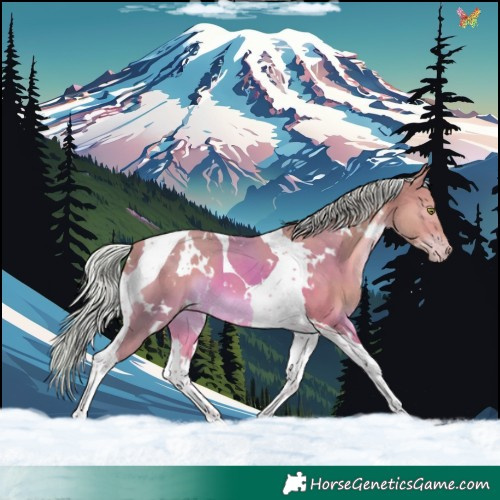 Horse Color:Watercolor White Spotted Silver Sable Champagne Tobiano 