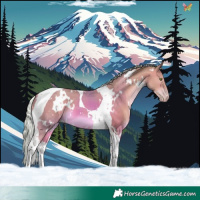 Horse Color:Watercolor White Spotted Silver Sable Champagne Tobiano 