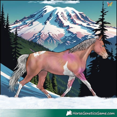 Horse Color:Silver Amber Champagne Tobiano Rabicano 