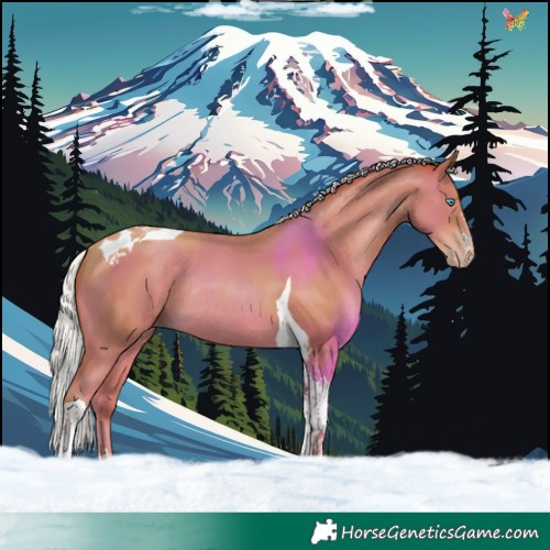 Horse Color:Silver Amber Champagne Tobiano Rabicano 