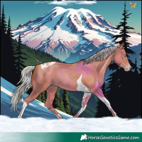 Horse Color:Silver Amber Champagne Tobiano Rabicano