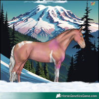 Horse Color:Silver Amber Champagne Tobiano Rabicano