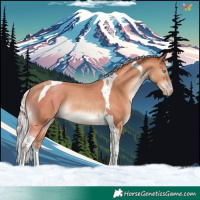 Horse Color:Silver Sable Champagne Tobiano Rabicano 