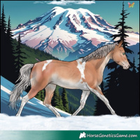 Horse Color:Silver Sable Champagne Tobiano Rabicano