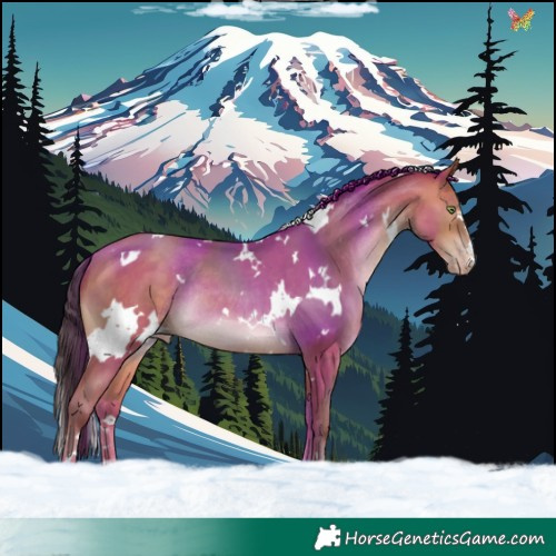 Horse Color:White Spotted Amber Champagne Rabicano 